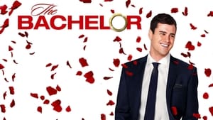 The Bachelor kép