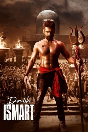 డబుల్ ఇస్మార్ట్ poszter