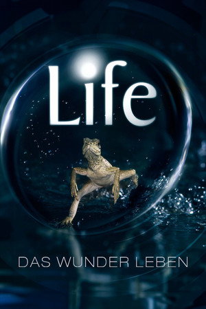 Az Élet poszter