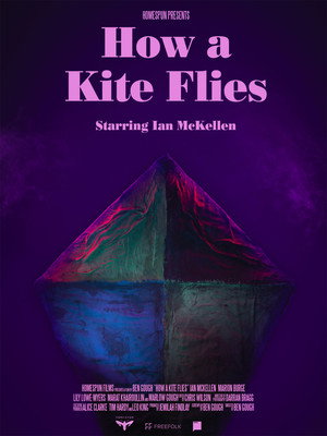 How a Kite Flies poszter
