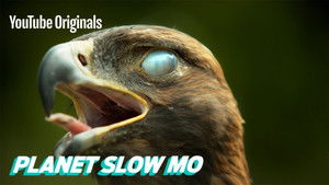 Planet Slow Mo Season 1 Ep.9 9. epizód