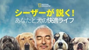 Cesar Millan: Jó gazdi, jó kutya kép