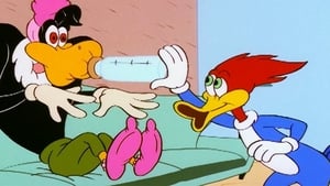 The New Woody Woodpecker Show 1. évad Ep.28 28. epizód