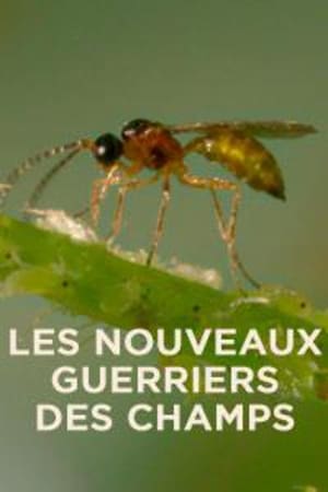 Les nouveaux guerriers des champs poszter