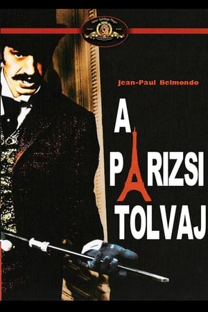 A párizsi tolvaj