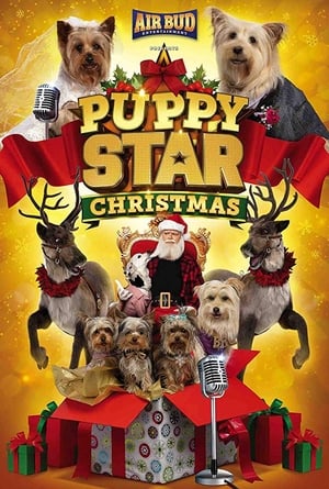 Puppy Star Christmas poszter