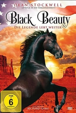 American Black Beauty poszter