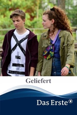 Geliefert poszter