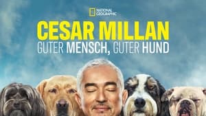 Cesar Millan: Jó gazdi, jó kutya kép