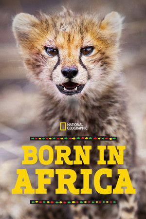 Afrikában születtek