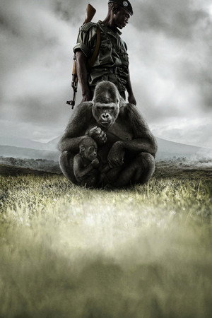 Virunga poszter