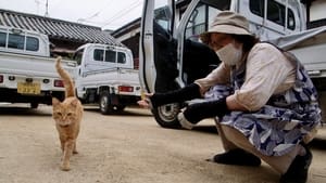 五香宮の猫 háttérkép