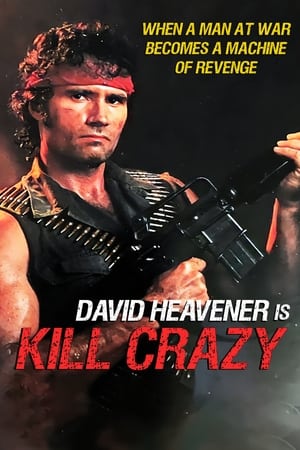 Kill Crazy poszter