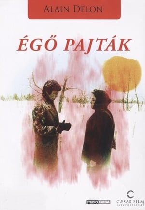 Égő pajták