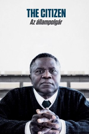Az állampolgár poszter