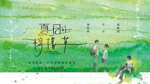 夏日的檸檬草 háttérkép