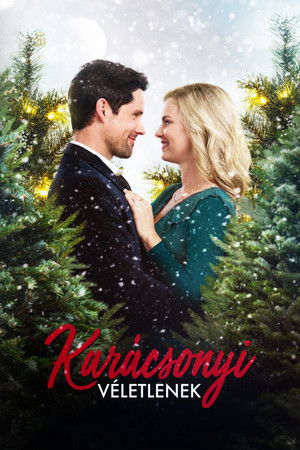 Karácsonyi véletlenek