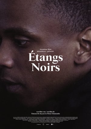 Étangs Noirs