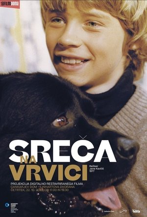 Sreča na vrvici poszter