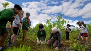 Jane Goodall: Reasons for Hope háttérkép