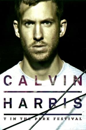 Calvin Harris: T In The Park Festival poszter