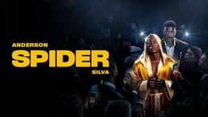 Anderson Spider Silva kép