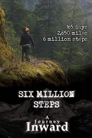 Six Million Steps: A Journey Inward poszter