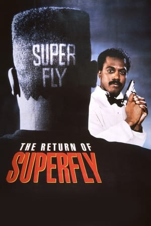 Superfly visszatér poszter