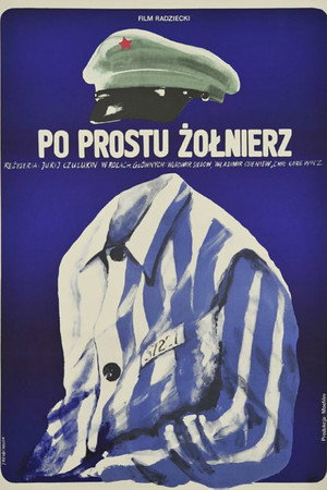 Родины солдат poszter