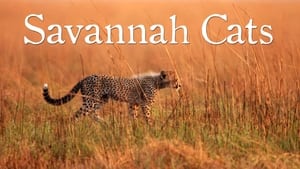 Savannah Cats háttérkép