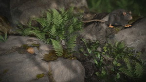 Accidental Host: The Story of Rat Lungworm Disease háttérkép