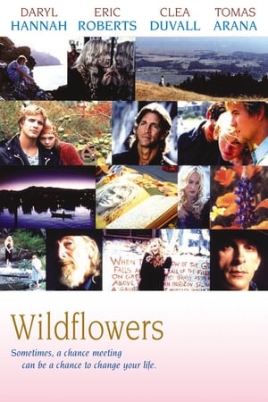 Wildflowers poszter