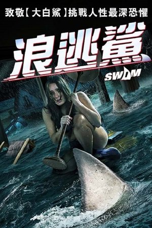 Swim poszter