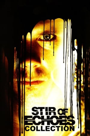 Stir of Echoes filmek