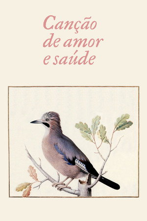 Canção de Amor e Saúde poszter