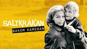 Saltkråkan - bakom kameran háttérkép