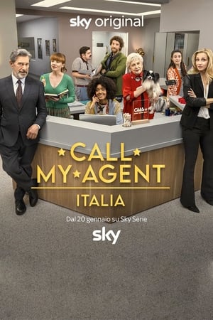 Call My Agent - Italia poszter