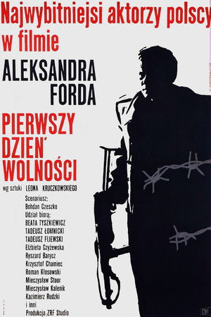 Pierwszy dzień wolności poszter