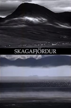 Skagafjördur poszter