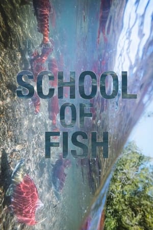 School of Fish