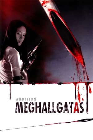 Meghallgatás