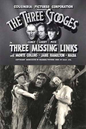 Three Missing Links poszter