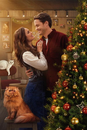 Christmas at the Catnip Café poszter