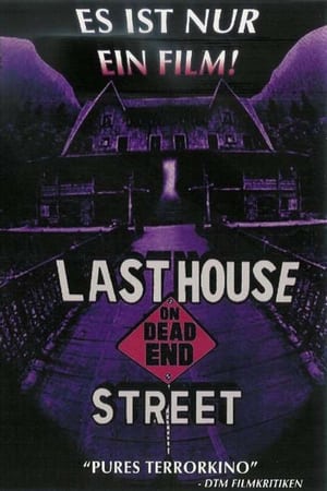 The Last House on Dead End Street poszter