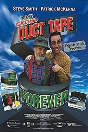 Duct Tape Forever poszter