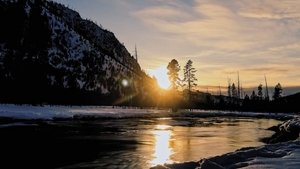 Yellowstone: Százötven Minisorozat Ep.3 Újjászületés