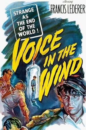 Voice in the Wind poszter