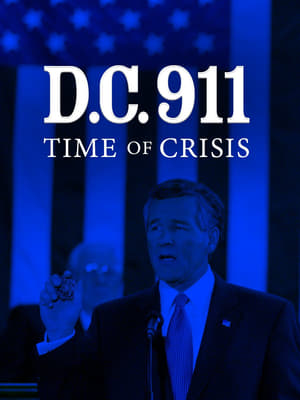 DC 9/11: Time of Crisis poszter