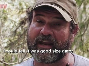 Swamp People 4. évad Ep.6 6. epizód