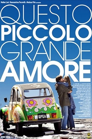 Questo piccolo grande amore poszter